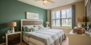 Century Dunes Gallery 25