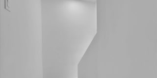 2725 Leslie Street Gallery 24