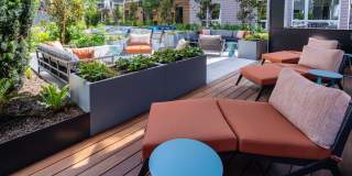 Eastline Grand Gallery 50