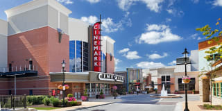 Flats at 703 Gallery 18