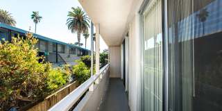 Surfcaster Gallery 7