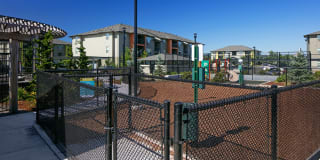 The Bailey at Amazon Creek Apartments Gallery 11