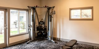 The Element The Element Gallery 5