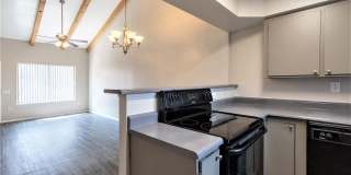 Lion Tempe Gallery 25