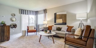 Cherry Creek Gallery 1