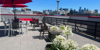 Queen Anne Flats Gallery 17