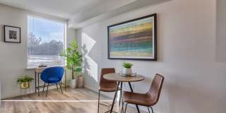 Angeline Gallery 6
