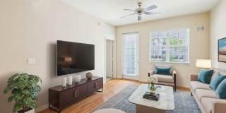 Dakota at Abacoa Gallery 23