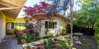 Beautiful Mid-Century Modern Home Across from Mitchell Park Gallery 1