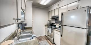 Juniper Springs Gallery 16