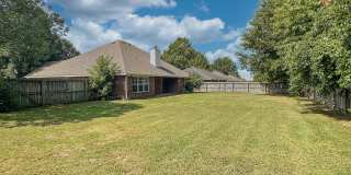 952 Queen Annes Lace (new) Gallery 5