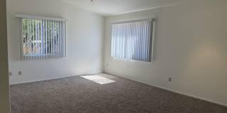 2946 W Ring Tail Drive Gallery 10