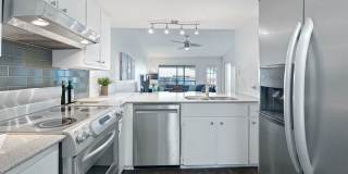 1101 Hollow Creek Drive Gallery 4