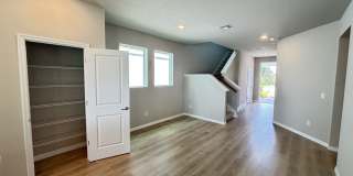3379 Yellow Cassia Dr Gallery 7