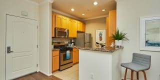 The Piero Gallery 65