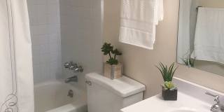 Woodstream Farms Apartments Gallery 4