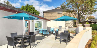 Terra Vista Apartments Gallery 6