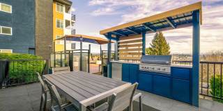 Arrive Magnolia Gallery 64