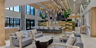 Compass at The Grove Gallery 20