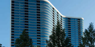 The Dagny Gallery 44