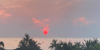2840 N Ocean Boulevard Gallery 1