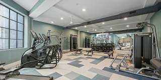 The Scottie Gallery 21