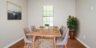 3016 Shade Tree Cove Gallery 9
