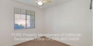 1732 Bamboo Street Gallery 9