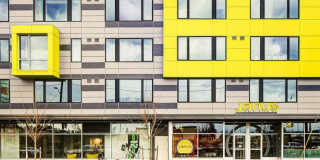 Janus Janus Gallery 5