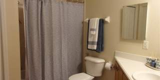 877 W Silver Meadow Loop Gallery 28