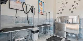 Pearl Apartments Gallery 21