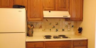 Spacious 2bed / 1bath condo on Pontoosuc Lake with Lake Access Gallery 8