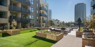 The Lafayette Gallery 6