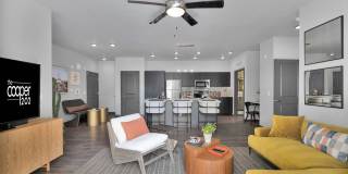 Cooper 202 Gallery 3