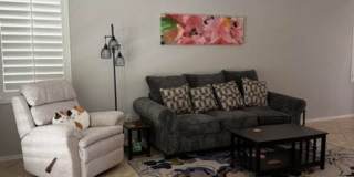 Gorgeous 2Bdrm 2 bath home in Sun City Anthem Gallery 4
