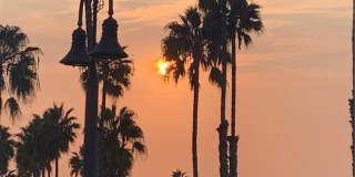 3341 Calle La Veta Gallery 51