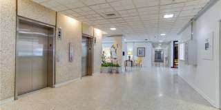Algonquin Park Gallery 6