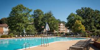 The Amberleigh Gallery 8