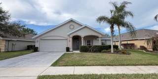 1459 Areca Palm Drive Gallery 12