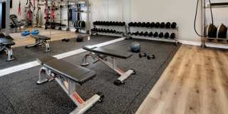 Everly Darien Gallery 22