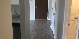 Willow Crossing Apartments - Limited-Time Special! Gallery 12