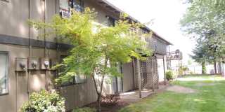 Evergreen Apartments Gallery 10