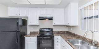 Oak Tree Court Gallery 55