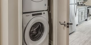 The Asher Gallery 10