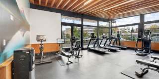 Leva on Market Gallery 2