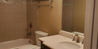 Gorgeous Condo Gallery 4