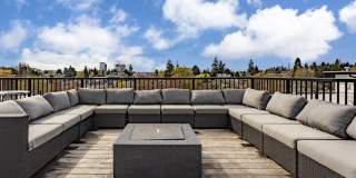 Novo Novo Gallery 23