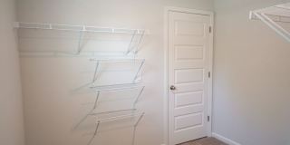 123 Painted Lady Loop Gallery 19