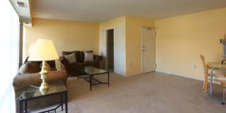 Belcrest Plaza Gallery 10