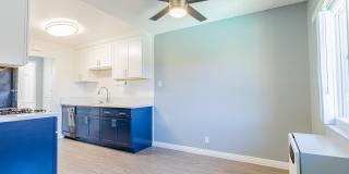 Buena Casa Gallery 7